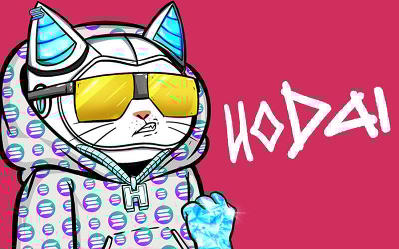 hodai-img